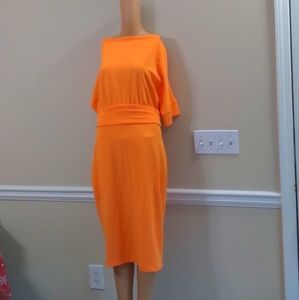 2/$40 New York and company dress